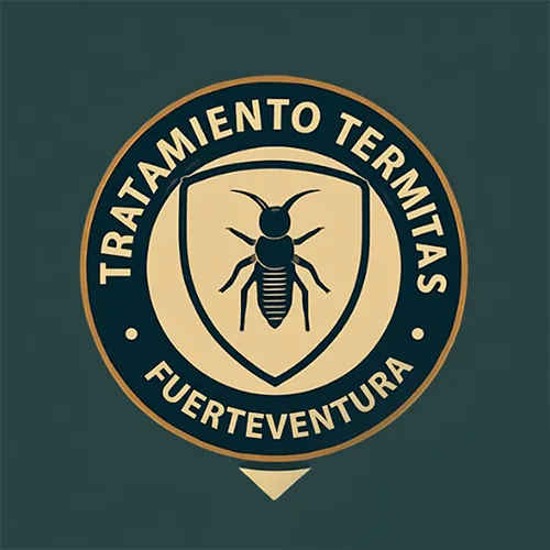 Tratamiento Termitas Fuerteventura